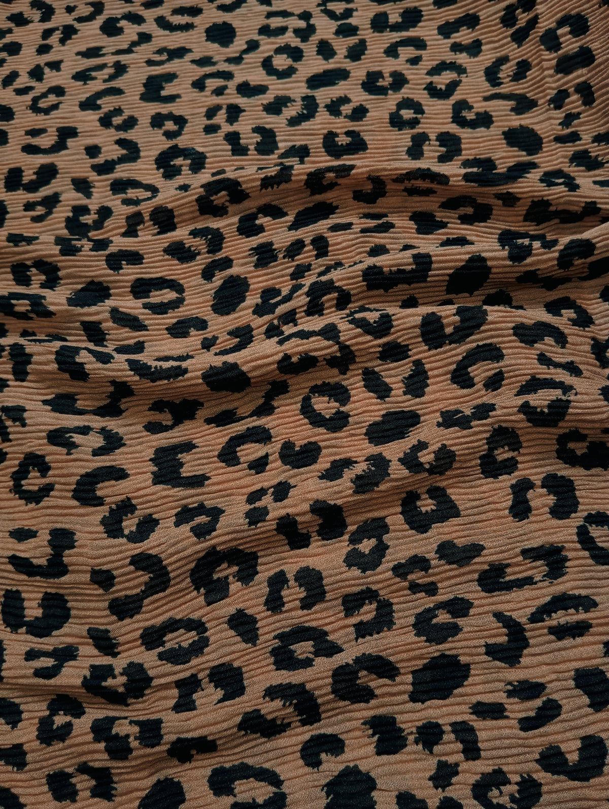 Cinnamon - The Leopard Edit
