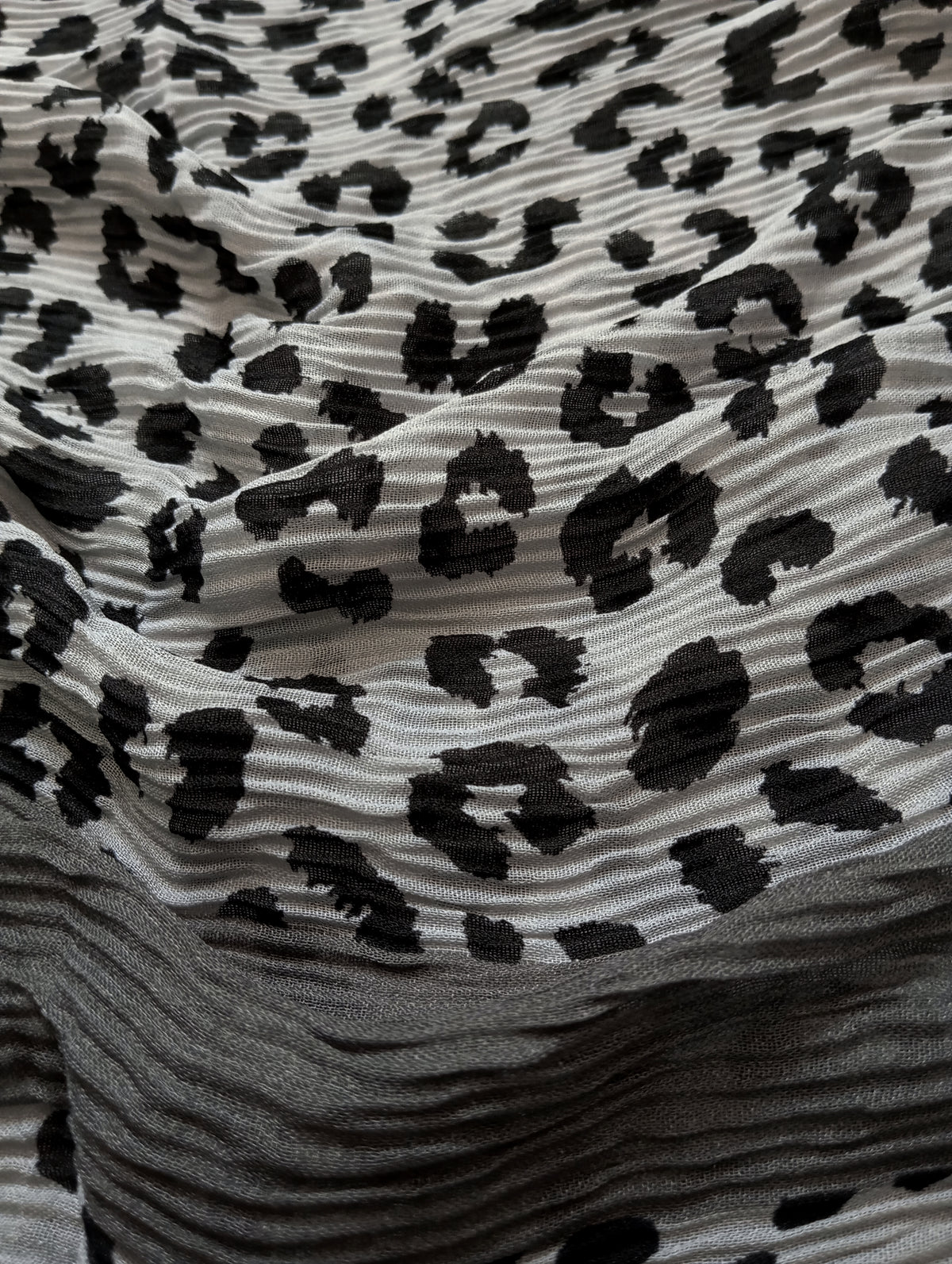 Charcoal - The Leopard Edit