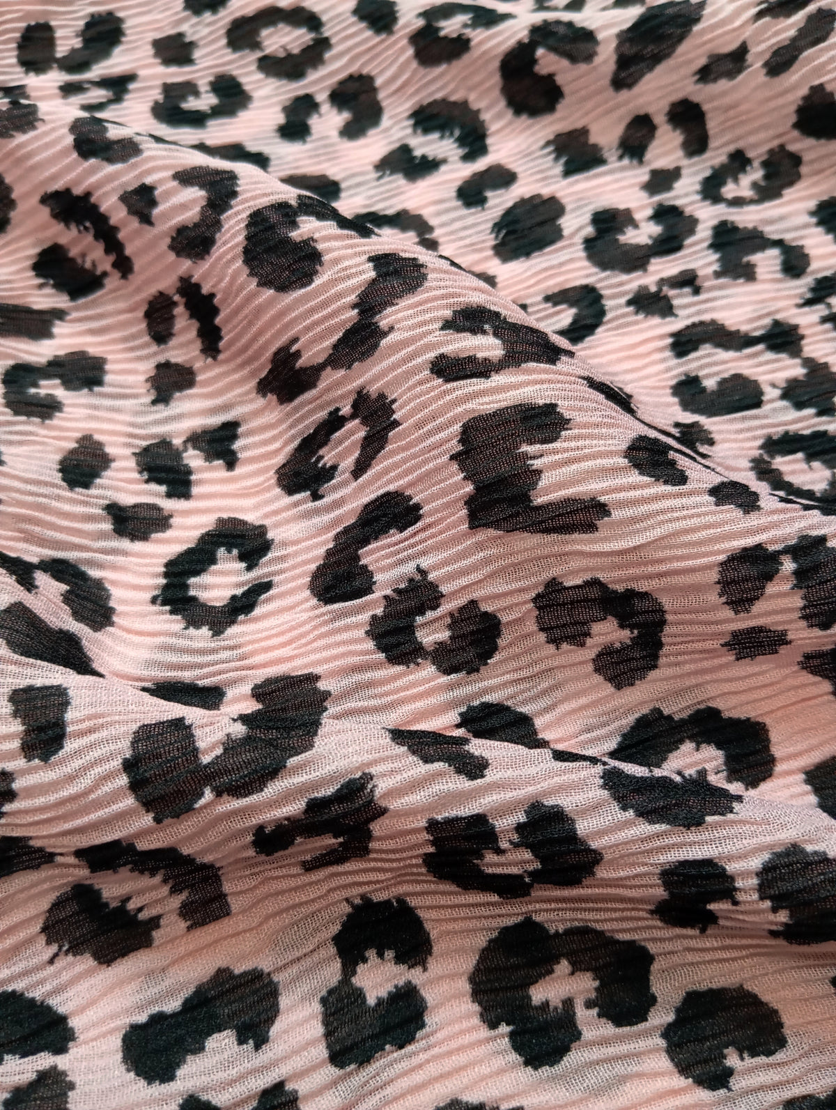 Blush - The Leopard Edit